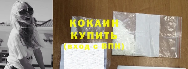дмт Богородицк
