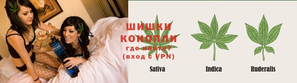 apvp Богданович