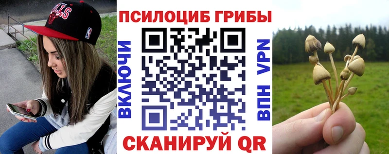 Купить где  Абинск  Галлюциногенные грибы прущие грибы 
